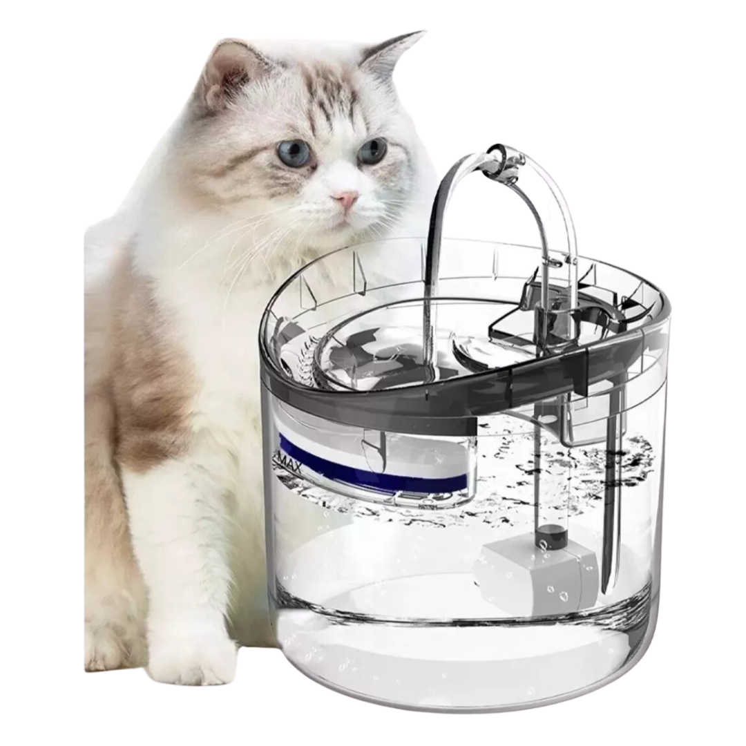 Fuente de agua para mascotas